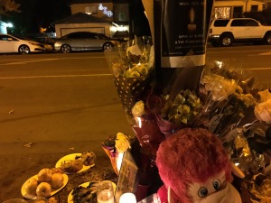 Flowers placed at growing memorial for 23-year old Chi Lam, victim of DUI driver. 