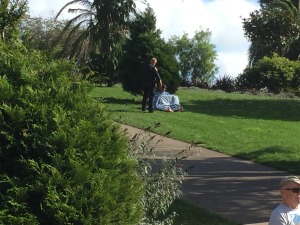 Police investigate attempted sexual assault of child at San Francisco park