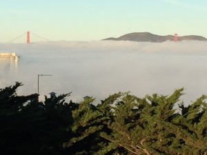 Golden Gate Bridge - View From Telegraph Hill - Coit Tower reopens to the public Tuesday afternoon after a controversial commercial shoot using a drone took place there on Monday.